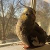 eggeggeggegg